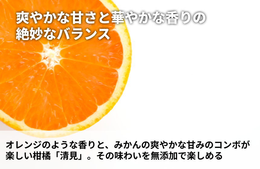 【長与町産】山口柑橘園「長与みかん KIYOMI」の商品画像3