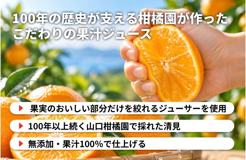 【長与町産】山口柑橘園「長与みかん KIYOMI」の商品画像4