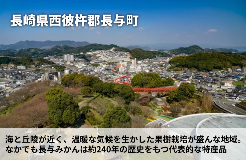 【長与町産】山口柑橘園「長与みかん KIYOMI」の商品画像5