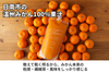 【日南市産】ネイバーフッド「まる搾りみかんジュース」の商品画像3