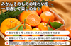 【日南市産】ネイバーフッド「まる搾りみかんジュース」の商品画像4