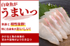 【淡口】「龍野　淡紫」の商品画像2