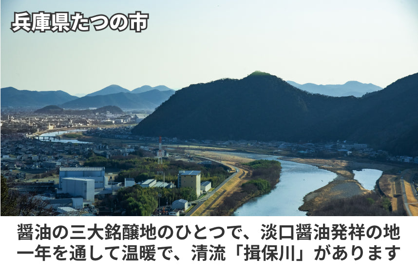 【淡口】「龍野　本造りうすくち醤油」の商品画像6