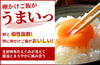 【白】「ヤマシン白醤油(特級)」の商品画像2