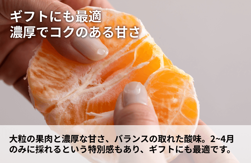 【伊方町産】あべさん家のみかん「不知火」|愛媛県西宇和郡伊方町の商品画像3