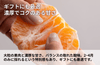 【伊方町産】あべさん家のみかん「不知火」|愛媛県西宇和郡伊方町の商品画像3