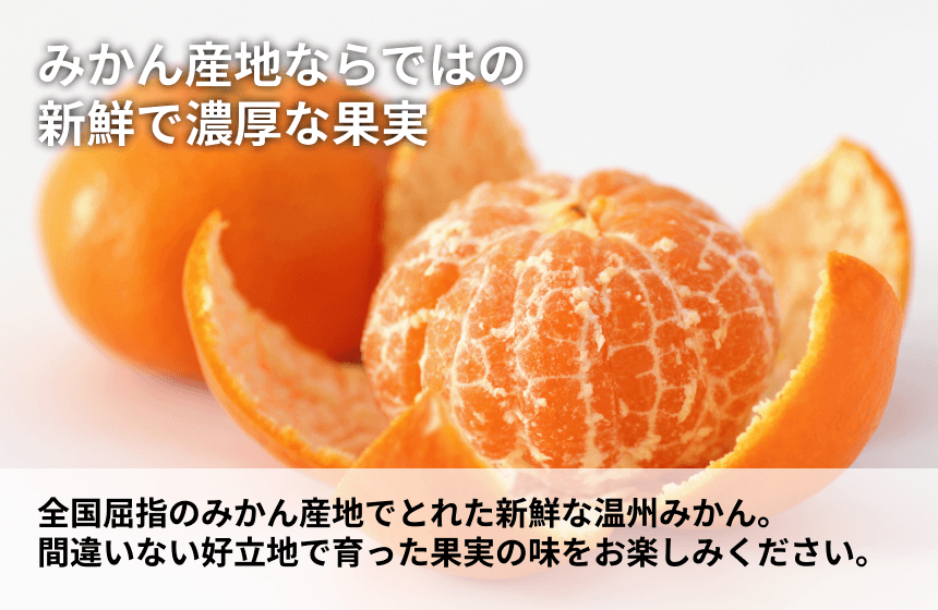 【伊方町産】あべさん家のみかん「温州みかん」の商品画像3
