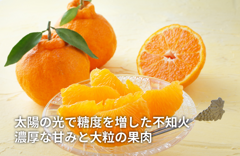 の商品画像