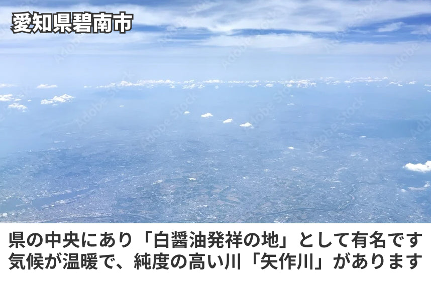 【白だし】生姜白だしの商品画像6