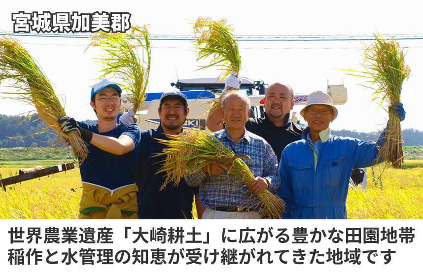 【濃口】「本醸造吟醸」の商品画像6